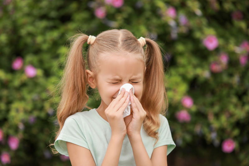 Comment se préparer à la saison des pollens