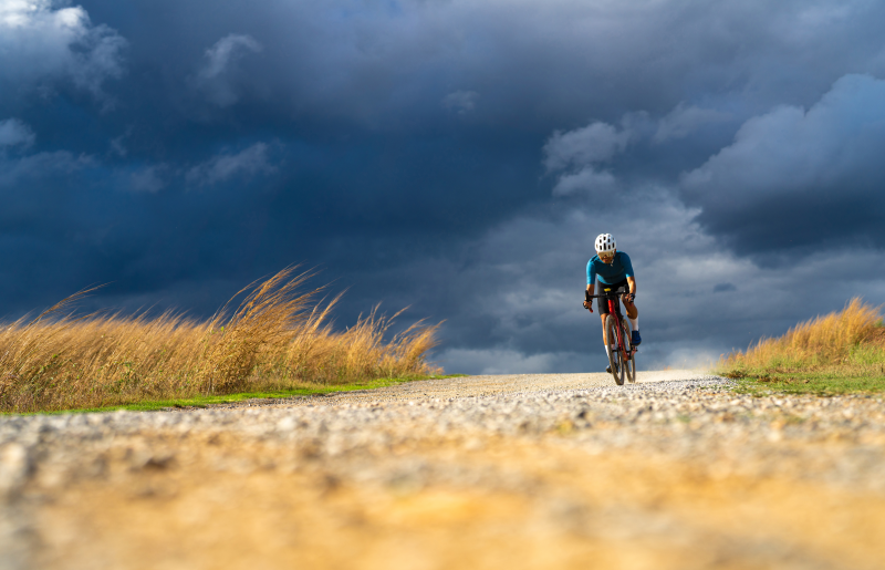 Comment les champignons vitaux aident-ils les sportifs ?