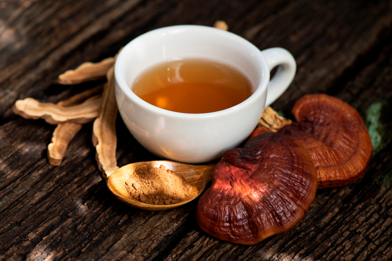 Toutes les Reishi ne se valent pas