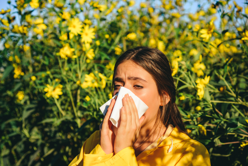 « Le rhume des foins » vu par la médecine chinoise