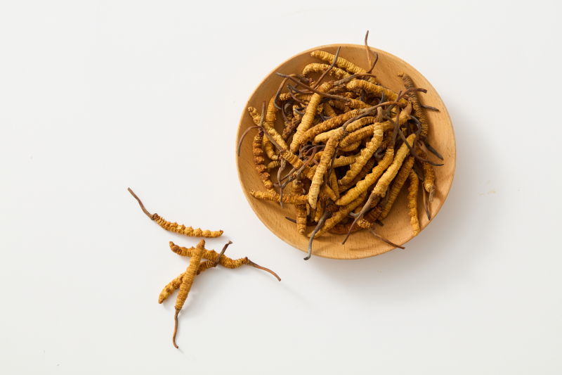 Cordyceps - recharge l'énergie perdue