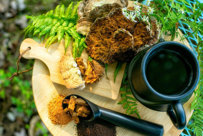 Comment doser correctement les champignons vitaux ?